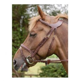 BRIGLIA DY'ON SPECIAL Classiche 